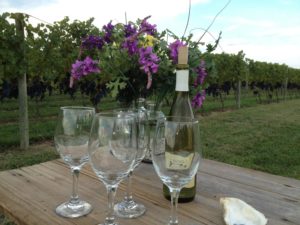 Wine and wine glasses in a vineyard on the Chesapeake Bay
