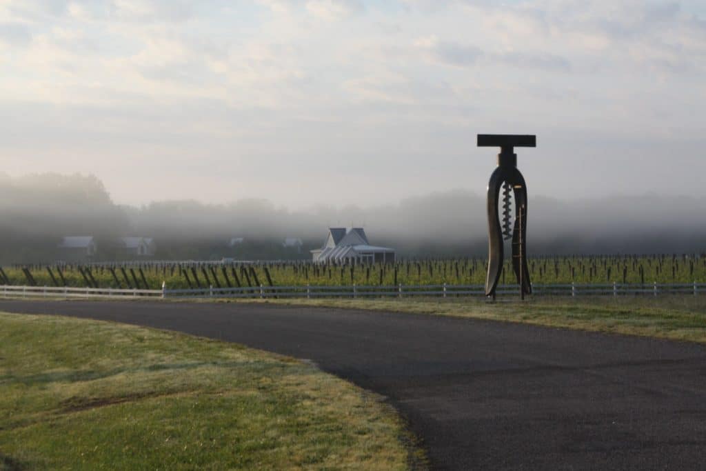 The Dog and Oyster Vineyard on the Artisan Trail