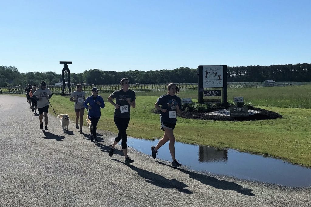 People running at The Dog and Oyster Vineyard